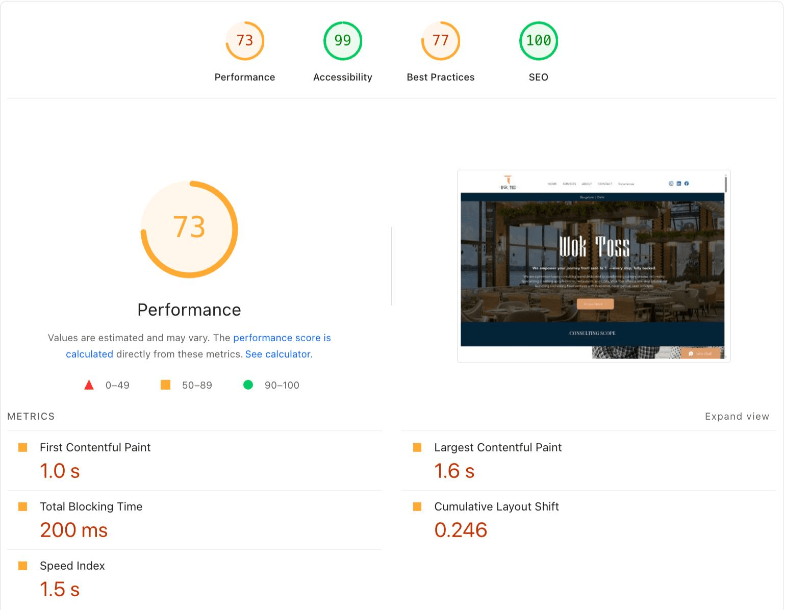 PageSpeed before optimization screenshot